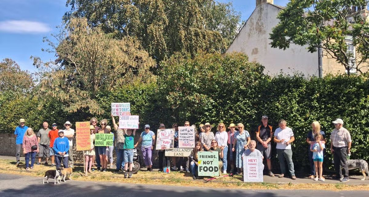 Protest Against 360,000-Bird Chicken Farm In North Yorkshire
